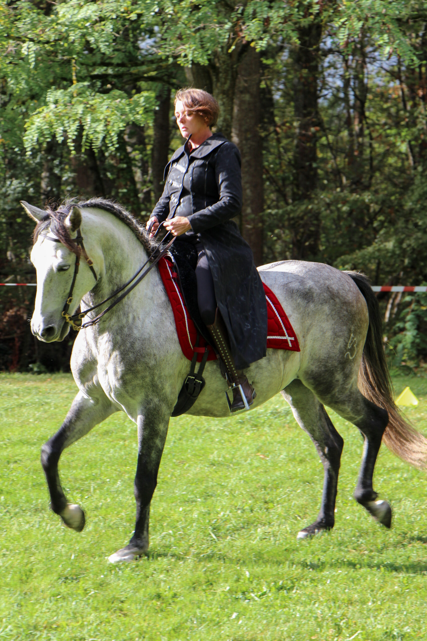 Séance de cours d'équitation à domicile avec une écuyère indépendante en Suisse romande