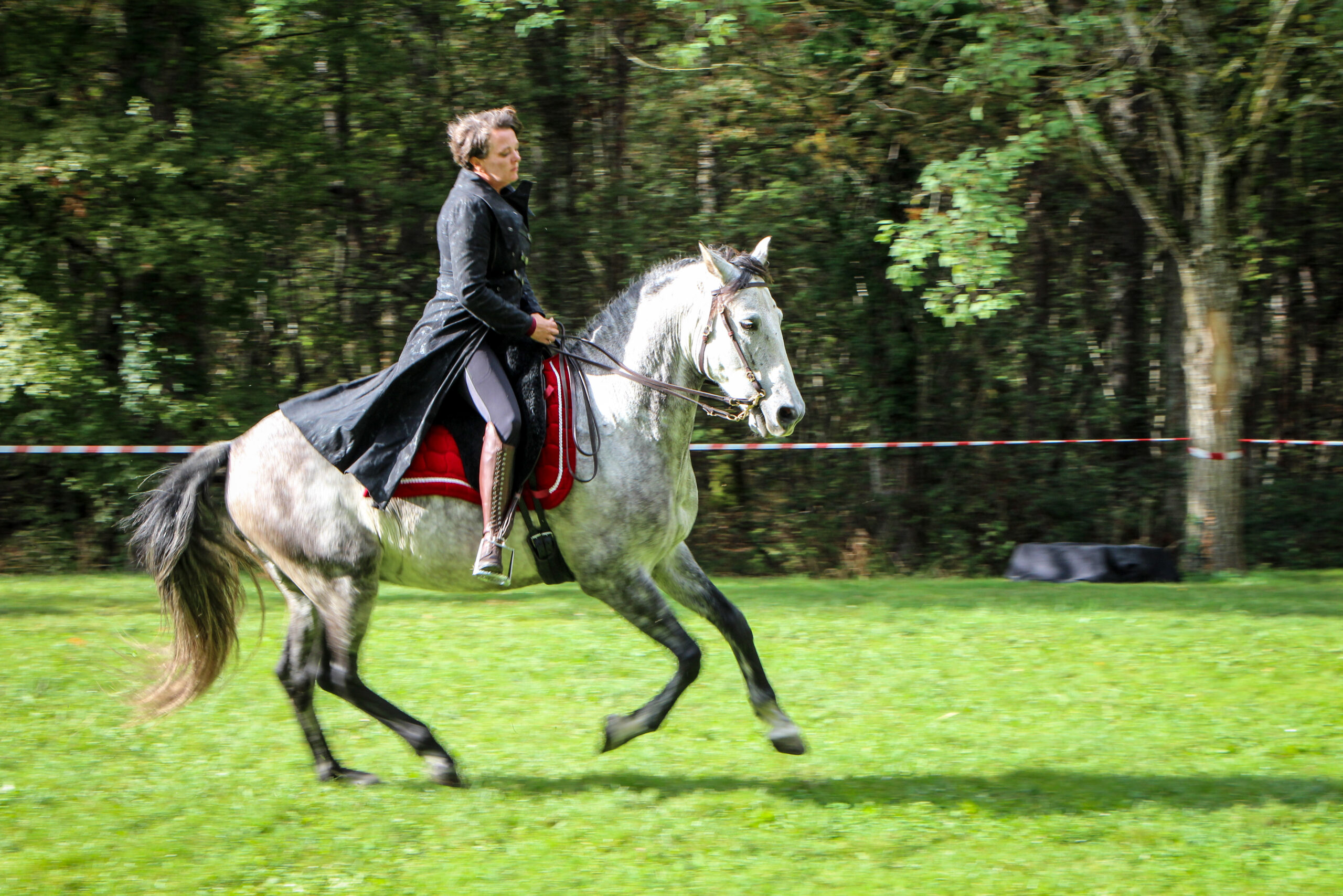 Cavalier
Cheval
Cours de d'équitation Genève
Equitation classique