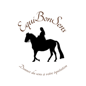 Cours d'équitation/Dressage/Travail du cheval/Genève-Vaud